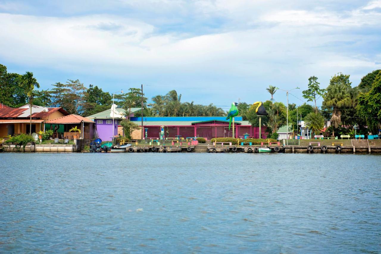 The Corner House Apartment Tortuguero Luaran gambar