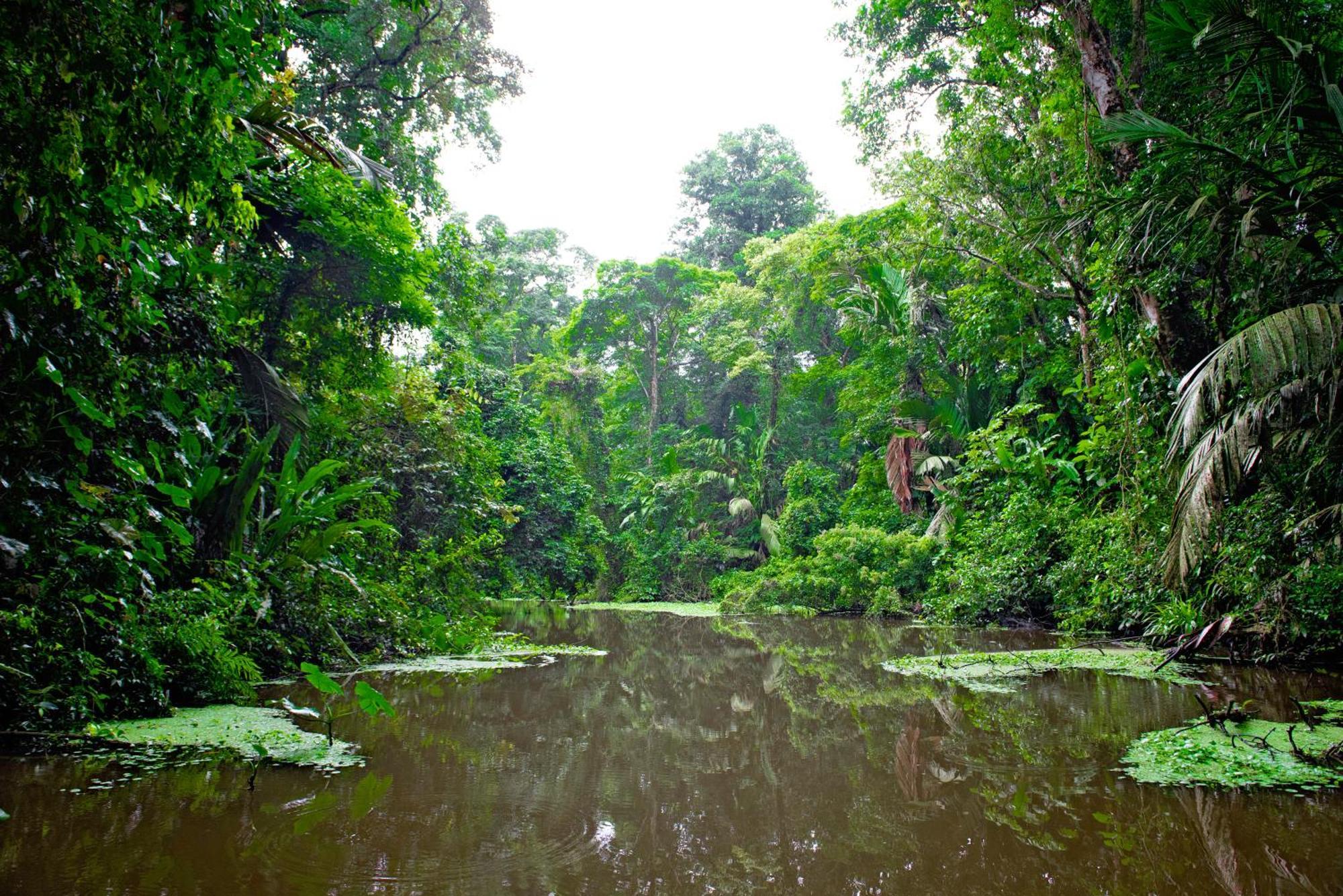 The Corner House Apartment Tortuguero Luaran gambar